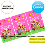 Editable Mickey Farm Party Kit – Canva Templates (Chip Bags, Labels & More)