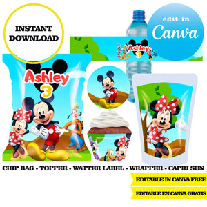 Mickey and his friends, editable template, Canva editable instant digital download, chip bag, topper, label