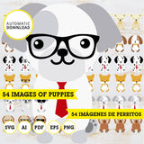 Perro cachorros Clipart, 54 imágenes, SVG, vector, cricut, ai, pdf, eps, PNG, 300 dpi con fondo transparente, cachorros kawaii